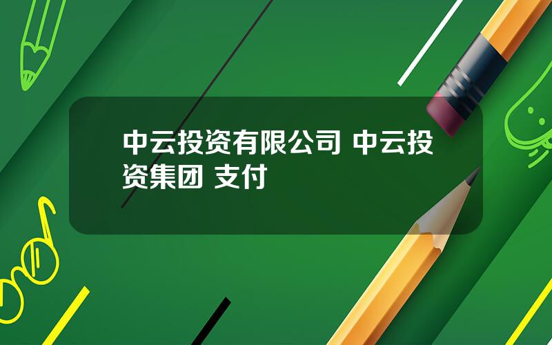 中云投资有限公司 中云投资集团 支付